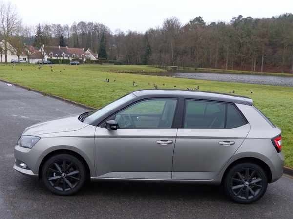S7-Essai-Skoda-Fabia-1-4-TDi-90-a-moitie-formatee-345996.jpg