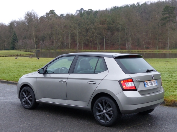 S7-Essai-Skoda-Fabia-1-4-TDi-90-a-moitie-formatee-345999.jpg
