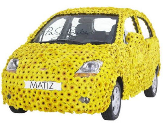 S0-Chevrolet-Matiz-en-fleur-56484.jpg