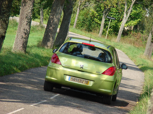 Peugeot 308 : 100 pour sang Peugeot