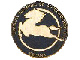 Pegaso