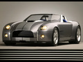 Ford Usa Cobra