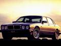 Jaguar Xj12