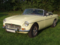 Mg C