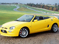 Mg F