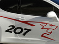 Photos Peugeot 207 Concept