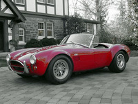 Photo Cobra