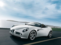 Photo 8c Spider