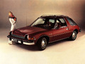 Avis Amc Pacer