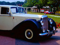 Avis Bentley Mark