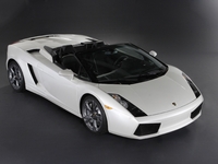 Photo Gallardo Spider