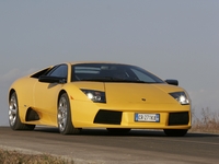 Photo Murcielago