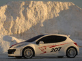 Peugeot 207 Concept Rcup