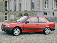 Photo 309 Gti