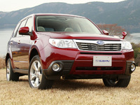 Photo Forester 3