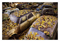 Les voitures du cimetière automobile de Kaufdorf aux enchères