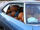 Vidéo - Citrouille vs voiture : il ne devra en rester qu'une