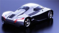 I2B-Concept-Wildcat-chat-perche-13161.jpg