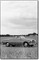 Peugeot 403 Cabriolet (1957-61) : le plein air bourgeois