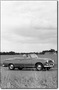 Peugeot 403 Cabriolet (1957-61) : le plein air bourgeois