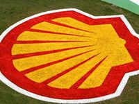 Shell : les biocarburants vont devenir « l'alternative la plus importante aux énergies fossiles dans les 20 prochaines années »
