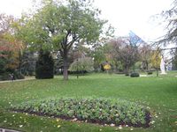 Zoom sur le plan d’actions national « restaurer et valoriser la nature en ville »