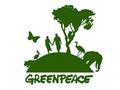 Volkswagen et Greenpeace font la paix