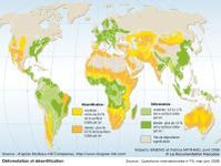 Lutte contre la déforestation et lutte contre la pollution : même combat ! 