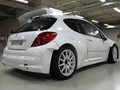 Peugeot développe encore la 207 S2000