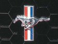 Les Mustang polonaises en vidéo
