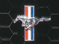 Les Mustang polonaises en vidéo