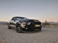 Trois versions spéciales de la Ford Mustang pour fêter les 50 ans de Shelby 