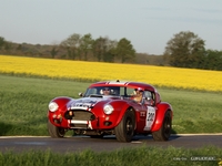 Photos du jour : AC Cobra (Tour Auto 2011)