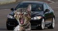 Jaguar décide de ne pas envoyer sa XFR défier la Cadillac CTS-V. Mercedes, Audi et BMW déclinent également l'invitation