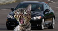 Jaguar décide de ne pas envoyer sa XFR défier la Cadillac CTS-V. Mercedes, Audi et BMW déclinent également l'invitation