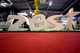 Live 2008 Paris : la Zest est survoltée et en promo !