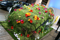 Peugeot 1007 décorée par Valérie Damidot : D&ÇU