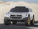 Volkswagen RaceTouareg Concept: pourquoi pas en petite série?