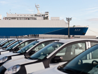 Nouveauté : Nissan dévoile Nichio Maru ...  et c'est un cargo !