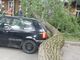 Insolite : jour de chance pour cette VW Golf