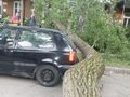 Insolite : jour de chance pour cette VW Golf 