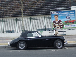 Photos-du-jour-Austin-Healey-55324.jpg