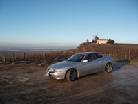Futur collector Alfa GTV