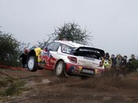 WRC Argentine Jour 1 : la malédiction Ford replace Loeb en tête mais Hirvonen résiste 