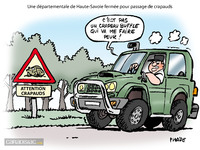 Le dessin du jour -  Danger : invasion de crapaud buffle 