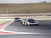 World GT - Hexis fait (enfin) triompher la McLaren MP4-12C