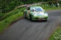 Rallye Alsace-Vosges: un max de photos!
