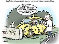 Le dessin du jour - Mise au point d'un plastique renforcé à base de banane
