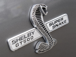 New-York-2011-Shelby-presentera-sa-GT500-Super-Snake-800-ch-au-programme-67944.jpg