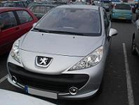 La-Peugeot-207-fait-ses-courses-8460.jpg